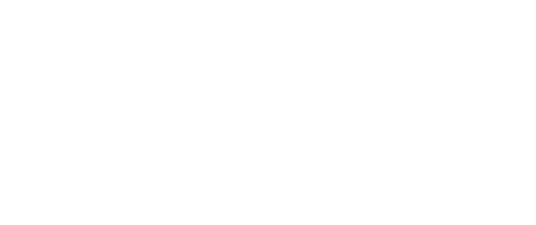 SIMI 2025