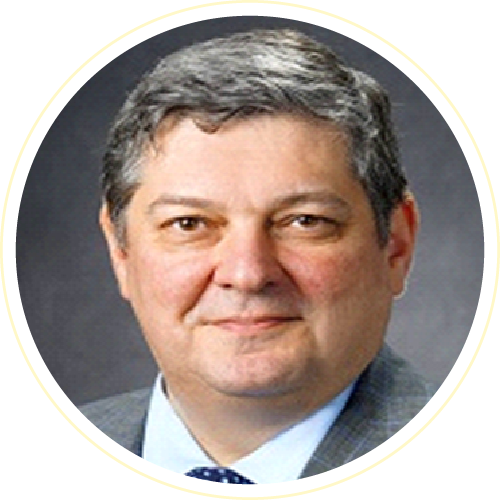 Prof. Dr. Tudor Jovin